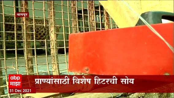 Nagpur : कडाक्याची थंडीत नागपुरातील प्राणीसंग्रहालयात प्राण्यांसाठी विशेष हिटरची सोय ABP Majha
