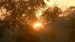 આમ આદમી પાર્ટીના નેતાઓની 12 દિવસ બાદ જેલ મુક્તિ, જુઓ ગુજરાતી ન્યુઝ