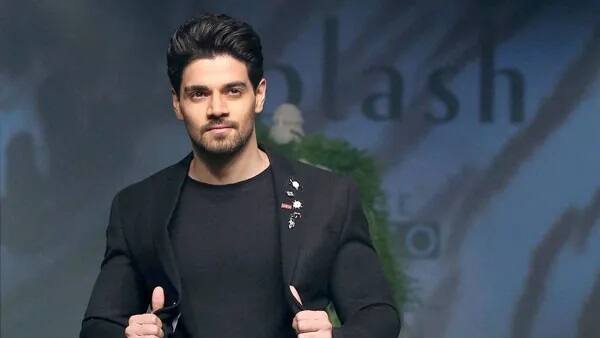 સૂરજ પંચોલી છેલ્લે માર્ચ 2021માં રિલીઝ થયેલી ફિલ્મ ટાઈમ ટુ ડાન્સમાં જોવા મળ્યો હતો. અભિનેતા ટૂંક સમયમાં હવા સિંહની બાયોપિકમાં જોવા મળશે જે ભારતીય હેવીવેઇટ બોક્સર માનદ કેપ્ટન હવા સિંહ શિયોરાન પર આધારિત છે.