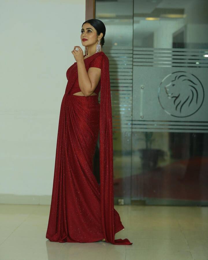 పూర్ణ (image credit : Shamna Kasim /Instagram)