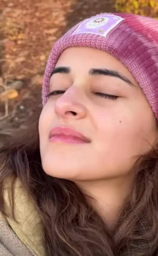 টাইগার শ্রফ এবং তারা সুতারিয়ার সঙ্গে ধর্ম প্রোডাকশনের 'স্টুডেন্ট অফ দ্য ইয়ার ২' দিয়ে তাঁর কেরিয়ার শুরু করেছিলেন অনন্যা।