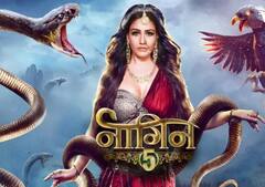 Welcome 2022: 'नागिन-6 से लेकर 'Kasam Tere Pyaar Ki 2' तक, नए साल में TV पर धमाका करने के लिए आ रहे एक से बढ़कर सीरियल