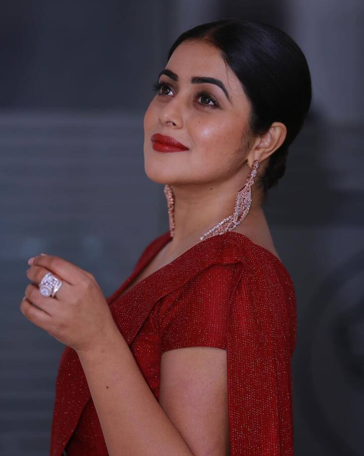 పూర్ణ (image credit : Shamna Kasim /Instagram)