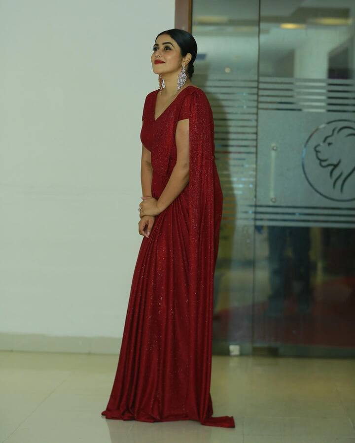 పూర్ణ (image credit : Shamna Kasim /Instagram)