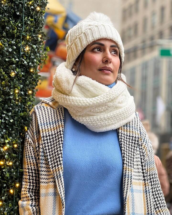 हिना आणि रॉकी बऱ्याच दिवसांपासून एकमेकांना डेट करत आहेत. ( सौजन्य : हिना खान इंस्टाग्राम)