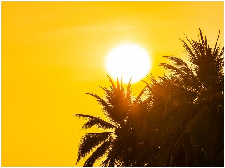Artificial Sun: ये देश कर रहा "सूरज" बनाने की तैयारी, जानिए कितना होगा तापमान