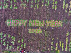 Happy New Year 2022 : नववर्षाचं भन्नाट स्वागत! शेतात कांद्याच्या मदतीनं साकारली जबरदस्त कलाकृती