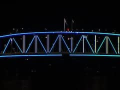 New Year 2022 : सिडनीत नववर्षाचं उत्साहात स्वागत,सिडनी हार्बर ब्रिजवर आकर्षक रोषणाई : ABP Majha