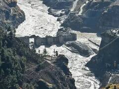 GoodBye 2021 : 2021 वर्षातील व्हायरल फोटो, ज्यांनी मनावर कायमची छाप पाडली