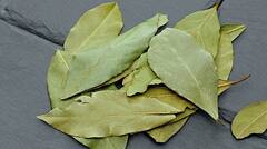 Benefits of Bay Leaf : হার্টের স্বাস্থ্য ভাল রাখা থেকে হজমে সাহায্য, তেজপাতার রয়েছে একাধিক গুণ