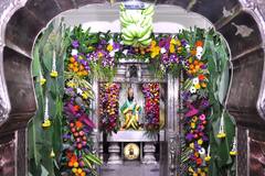 In Pics : अवघा रंग एक झाला... पंढरपुरातील विठ्ठल रुक्मिणी मंदिराला आकर्षक सजावट