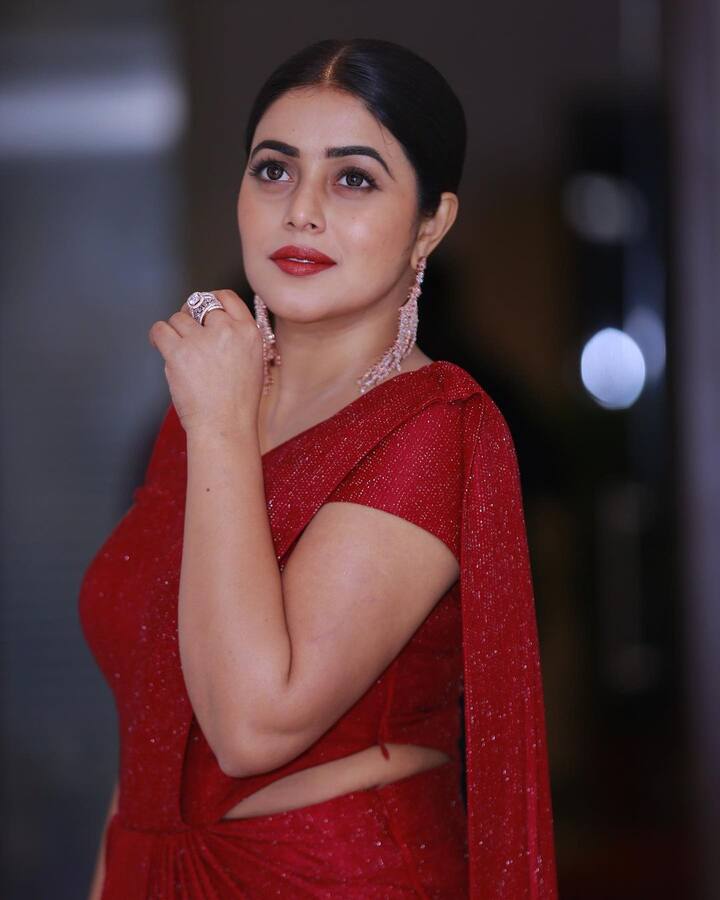 పూర్ణ (image credit : Shamna Kasim /Instagram)