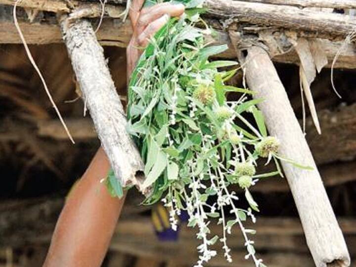 pongal 2022: Why is the first day of Thai Pongal  a kappu tieing festive? Pongal 2022 | தை பொங்கலுக்கு முதல் நாள் ”காப்பு கட்டுவது” ஏன் தெரியுமா?