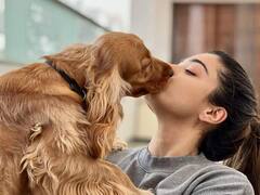 Rashmika Mandanna Photos: ముద్దులన్నీ దానికేనా? అల్లాడిపోతున్న రష్మిక అభిమానులు