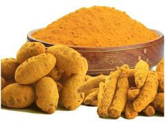 Health Tips: इन लोगों को नहीं करना चाहिए Turmeric का सेवन, सेहत पर पड़ सकता है बुरा असर