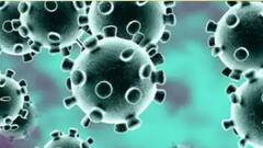 Covid 19 In India: ওমিক্রন উদ্বেগের মধ্যেই দেশে বাড়ল করোনায় আক্রান্তের সংখ্যা, কমল মৃত্যু | Bangla News