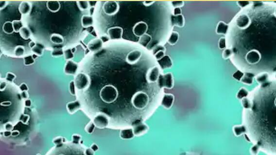 Covid 19 In India: ওমিক্রন উদ্বেগের মধ্যেই দেশে বাড়ল করোনায় আক্রান্তের সংখ্যা, কমল মৃত্যু | Bangla News