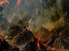 GoodBye 2021 : 2021 वर्षातील व्हायरल फोटो, ज्यांनी मनावर कायमची छाप पाडली