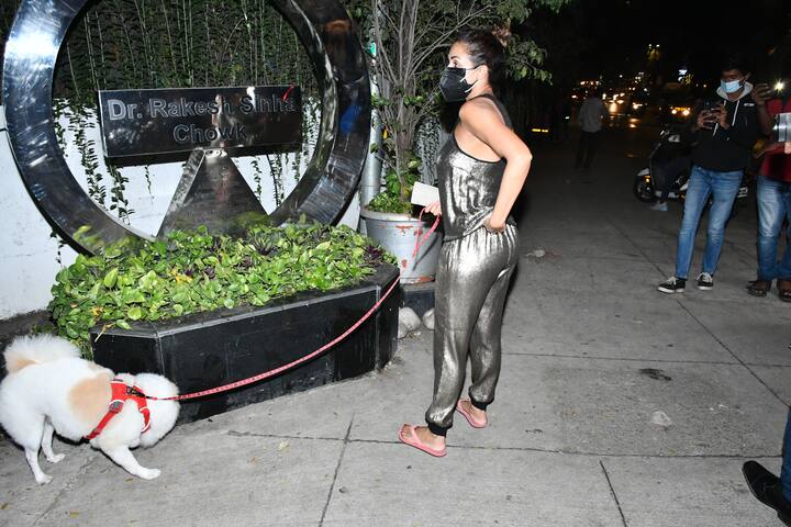 मलाइका अरोड़ा 31 दिसंबर की शाम अपने Pet के साथ बांद्रा में टहलती हुई दिखाई दीं. इस दौरान मलाइका ने शिमरी आउटफिट पहना हुआ था.