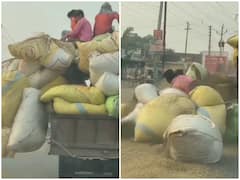 Watch: भूसा लदी ट्रैक्टर-ट्रॉली की खुली रस्सी, सड़क पर बिखरते दिखे लोग, वीडियो हुआ वायरल