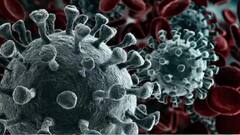 COVID 19: কোভিড বিধি মানতে তৎপর কলকাতা পুলিশ, নজরদারি ভিক্টোরিয়া মেমোরিয়ালের সামনে| Bangla News