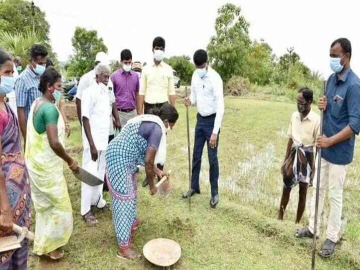 திருவண்ணாமலையில் 30 நாட்களுக்குள் 1,118 பண்ணை குட்டைகளை உருவாக்கி சாதனை - ஆசிய சாதனை பதிவில் இடம் பிடித்தது