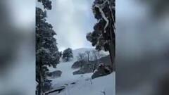 Weather In Uttarakhand: चमोली में जमकर हुई बर्फबारी, लॉर्ड कर्जन ट्रैक पर 4 फीट तक जमी बर्फ