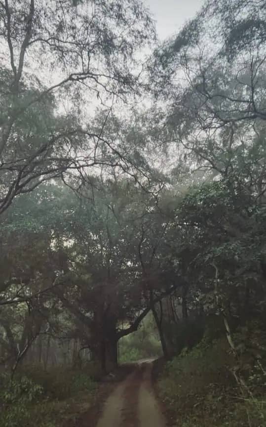 বলিউড অভিনেতা চাঙ্কি পাণ্ডের মেয়ে অনন্যা পাণ্ডে বলিউডে পা রাখার পর থেকেই ক্রমেই সোশ্যাল মিডিয়ায় জনপ্রিয় হয়ে উঠেছেন তিনি।