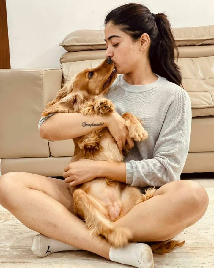 దానికి తెగ ముద్దులు ఇస్తూ ఆ ఫోటోలను ఇన్ స్టాలో పోస్టు చేస్తుంటుంది. -Image credit: Rashmika Mandanna/Instagram