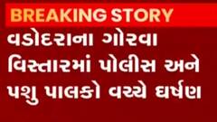 ન્યૂઝરૂમ લાઈવ: વડોદરાના ગૌરવા વિસ્તારમાં પોલીસ અને પશુપાલક વચ્ચે ઘર્ષણ, જુઓ ગુજરાતી ન્યુઝ