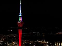 Happy New Year 2022  : नवीन वर्षाचं सर्वात पहिलं स्वागत न्यूझीलंडमध्ये, ऑकलंडच्या स्काय टॉवरवर नयनरम्य रोषणाई