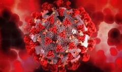 WB Omicron: রাজ্যে আরও ৩ জন ওমিক্রন পজিটিভ, ডেল্টা প্লাসে আক্রান্ত সৌরভ। Bangla News