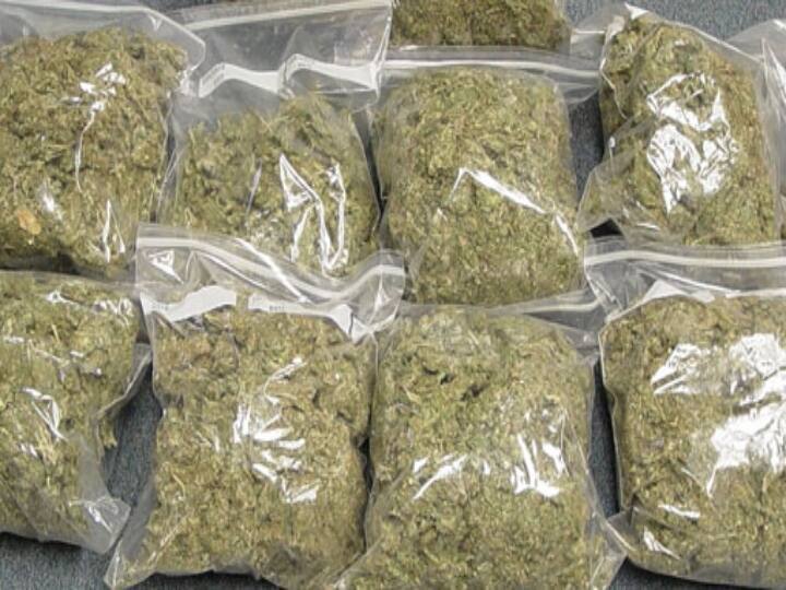 96kg ganja seized malayalam movies junior artist goes into hiding வீடு முழுவதும் கஞ்சாதான்.! நியூ இயர் கொண்டாட்டத்துக்கு 96 கிலோ - தலைமறைவான நடிகர்..!