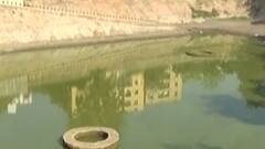 અમદાવાદઃ તળાવોની સફાઈ માટે એબીપીના અહેવાલની થઈ અસર, હેલ્થ કમિટિએ શું કર્યો નિર્ણય?