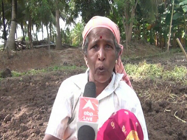 Pongal 2022 : விளைச்சல் அதிகம் இருந்தும் கொரோனாவால் நஷ்டம் - மஞ்சள் பயிர்  விவசாயிகள் வேதனை