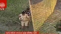 Tiger Panic: নতুন পন্থা বন দফতরের ! মাইকে বাঘিনীর গর্জন শুনিয়ে বাঘকে খাঁচাবন্দি করার চেষ্টা গোসাবায়। Bangla News