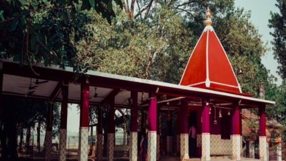 Happy New Year 2022: পোলাও, চাটনি, পায়েসে বিশেষ ভোগের আয়োজন কঙ্কালীতলায় | Bangla News