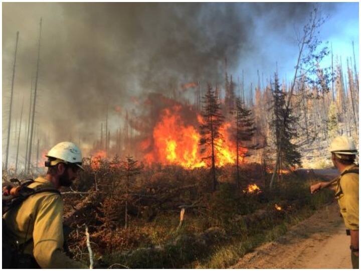 Hundreds of houses destroyed by wild fire in Colorado America अमेरिका के कोलोराडो में जंगली आग ने उजाड़े सैकड़ों घर, मुश्किल से जान बचा कर भागे लोग