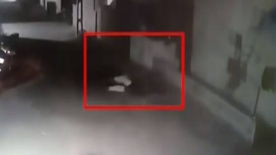 વડોદરાઃ રખડતા ઢોરનો આતંક વધ્યો, 70 વર્ષીય વૃદ્ધ થયા ઈજાગ્રસ્ત, જુઓ CCTV ફુટેજ