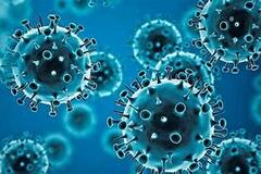 WB Corona: একলাফে রাজ্যে দৈনিক সংক্রমণ বাড়ল হাজার ! শুধু কলকাতাতেই আক্রান্ত ২৩৯৮। Bangla News