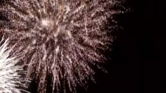 વિશ્વભરમાં નવા વર્ષની ઉજવણી, જુઓ ક્યાં કેવી રીતે કરાયું નવા વર્ષનું સ્વાગત?