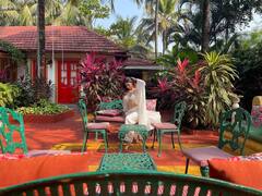 Mouni Roy Photo: विंटेज सोफे पर बैठ TV की इस नागिन ने दिए दिलकश पोज, स्टाइलिश आउटफिट की हो रही हर तरफ चर्चा