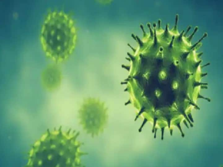 COVID19: Mumbai reports 8,082 fresh infections, 2 deaths and 622 discharges today Coronavirus In Mumbai: मुंबईत रुग्णसंख्या वाढतीच, रविवारच्या तुलनेत आज कमी रुग्णांची नोंद