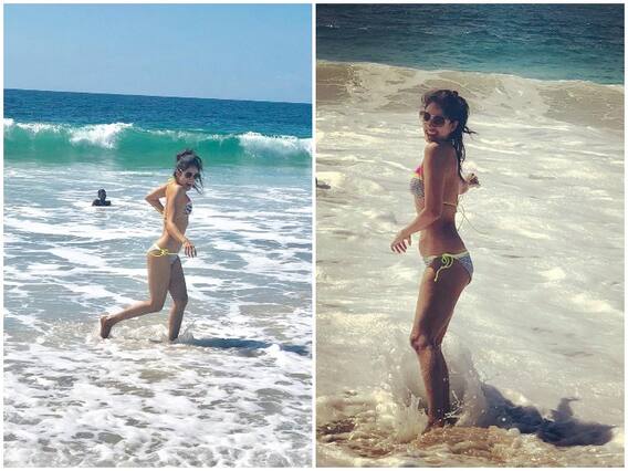 Vidya Malavade Bikini Photos: समुद्र किनारे बिकिनी में अठखेलियां करती दिखीं Shah Rukh Khan की ये एक्ट्रेस, तस्वीरों ने मचाया धमाल Vidya Malavade Bikini Photos: समुद्र किनारे बिकिनी में अठखेलियां करती दिखीं Shah Rukh Khan की ये एक्ट्रेस, तस्वीरों ने मचाया धमाल