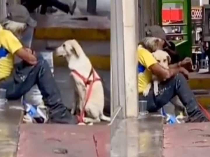 Homeless man gets hugged by a dog viral video, know in details Watch Video: ஆதரவில்லாமல் தெருவில் தங்கியவரை அணைத்துகொண்ட நாய்.. வைரலாகும் அன்பு வீடியோ..!