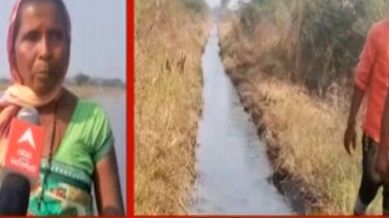 વડોદરાના વાઘોડિયામાં નર્મદા સિંચાઈ વિભાગની બેદરકારી, જુઓ ગુજરાતી ન્યુઝ