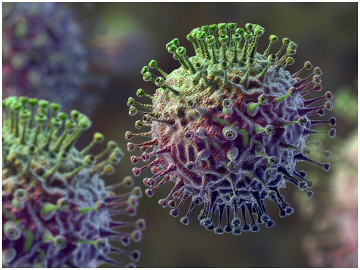 Omicron florona virus increasing people concern, first case of florona virus found in israel Florona Virus: ओमिक्रोन के बीच Florona Virus का खौफ, इजराइल में मिला पहला मरीज, कोरोना से ज्यादा खतरनाक