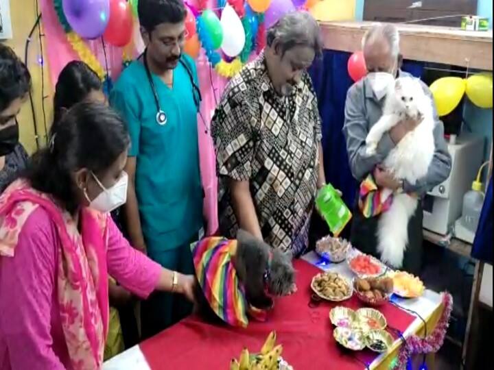 Baby shower with rituals for cats in coimbatore கோவை : பூனைகளுக்கு சீர் சடங்குகளுடன் வளைகாப்பு ; தடால்புடல் விருந்து..!