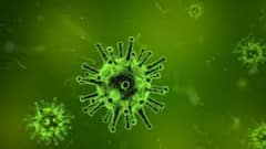 Corona: দিল্লিতে ফের দৈনিক সংক্রমণ ৩ হাজার ছুঁইছুঁই, মুম্বইতে আক্রান্তের সংখ্যা ছাড়াল ৬ হাজার! | Bangla News