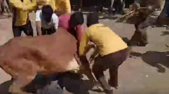 Chittoor Jallikattu: చిత్తూరు జిల్లాలో సంక్రాంతికి ముందే మొదలైన కోలాహలం